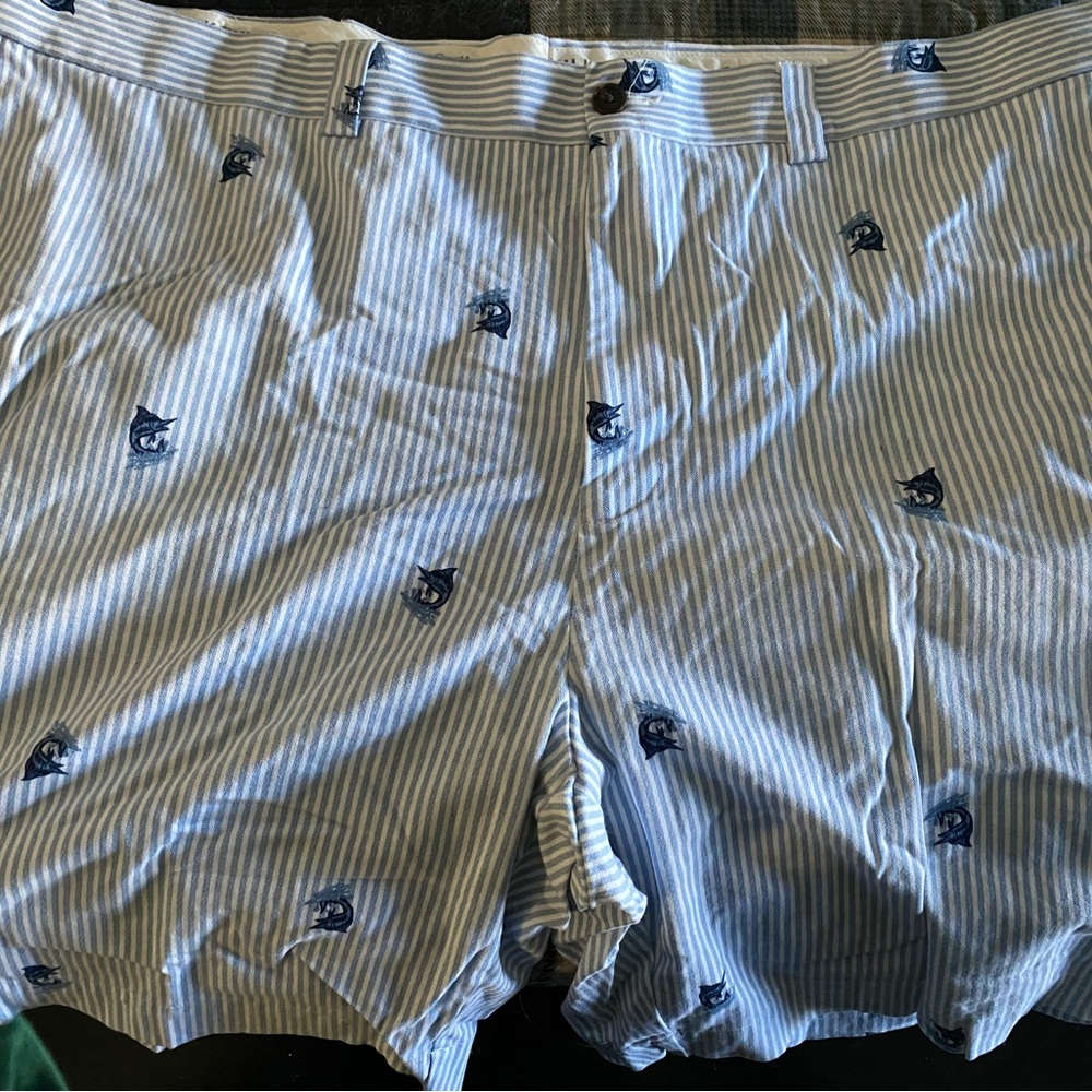 Men's Light Blue Striped Flat Front Shorts with Navy Embroidery